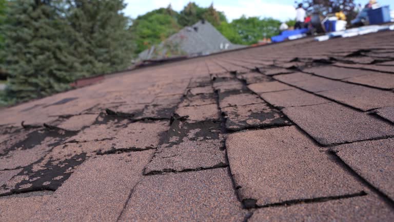 Best Roof Repair  in Aberdeen, SD